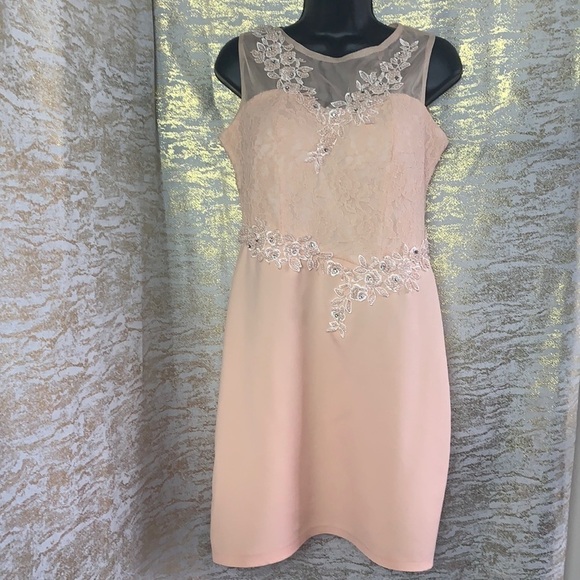 Hanieh Light Pink Evening Lace And Embroidered Midi Dress Size 3 - Picture 3 of 12